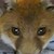 dimming-aurora :icondimming-aurora: