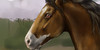 Dinohorses's avatar