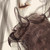 Dioptasy :icondioptasy: