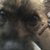 DireDanger :icondiredanger: