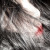 DeviantArt profile picture for @Discretionary on DeviantArt