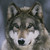 DeviantArt profile picture for @Disruptions on DeviantArt