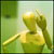 DeviantArt profile picture for @distributed on DeviantArt