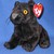 DJdoubleD64 :icondjdoubled64: