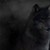 Dlobo66 :icondlobo66: