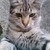 DoaBob :icondoabob: