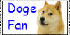 Doge-Fans's avatar