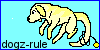 dogz-rule's avatar