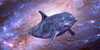 Dolphins-sea's avatar