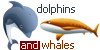 DolphinsandWhales's avatar