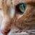 doseran :icondoseran:
