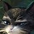 :icondoubtfulkittyplz:
