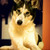 Dougiie-botox :icondougiie-botox: