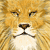 Douglas-Bicalho :icondouglas-bicalho:
