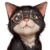 :icondoxinge: