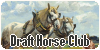 :icondraft-horse-club: