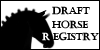 DraftHorse-Registry's avatar