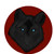 Dragoandnikki :icondragoandnikki: