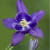 Dragonfly163 :icondragonfly163:
