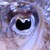 DragonHeart93 :icondragonheart93: