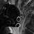 :icondragonnick741: