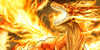 dragons-of-forever's avatar