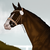 drawerskid :icondrawerskid: