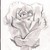 drawing4life1 :icondrawing4life1: