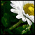 DreamlessFear :icondreamlessfear: