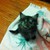 DrLesliee :icondrlesliee: