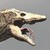 Dschryer :icondschryer: