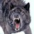 DSkoll :icondskoll: