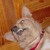 duendelew :iconduendelew: