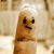 dusty-soul :icondusty-soul: