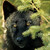 DuvenDarc :iconduvendarc: