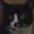 Dvil-Dog :icondvil-dog: