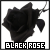 :icondying-blackroses: