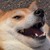 dylan-dii :icondylan-dii: