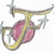 Dynamiteboom12345 :icondynamiteboom12345: