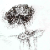 EclecticEcho :iconeclecticecho:
