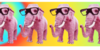 Elephant-Fans's avatar