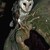 elfqueen55 :iconelfqueen55: