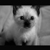 elifkizil :iconelifkizil: