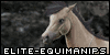 Elite-Equimanips's avatar