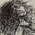 Eliza-Willow :iconeliza-willow: