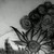 Ellariaxsand :iconellariaxsand: