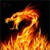 emeraldragonfly :iconemeraldragonfly: