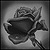 emeyardyey :iconemeyardyey: