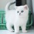 emmakissiesArt :iconemmakissiesart: