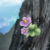 :iconemojigamez: